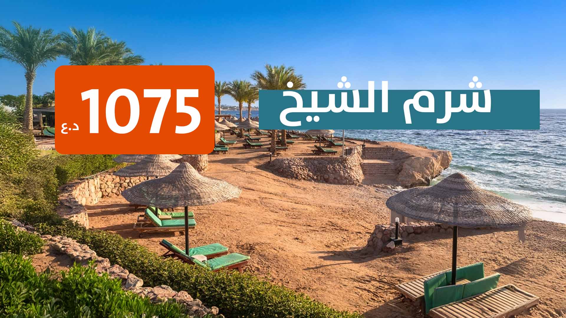 شرم الشيخ من بغداد 